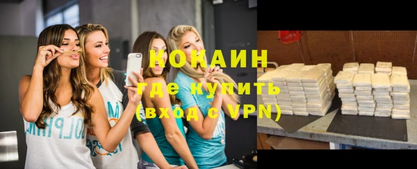 соль ск Дмитров