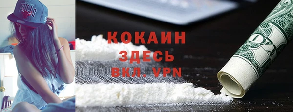 соль ск Дмитров