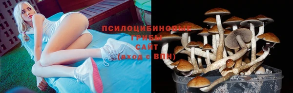 прущая мука Дмитриев