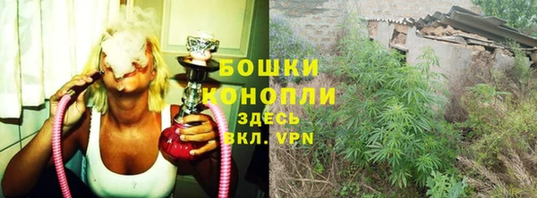 прущая мука Дмитриев