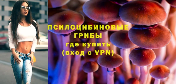 прущая мука Дмитриев
