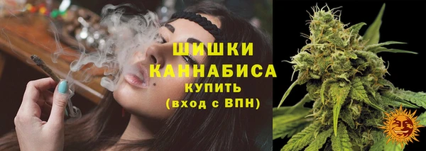 прущая мука Дмитриев